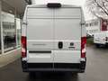 Fiat Ducato Grossr.-Kasten 35 140 L4H2 RS: 4035 mm Weiß - thumbnail 5