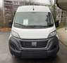 Fiat Ducato Grossr.-Kasten 35 140 L4H2 RS: 4035 mm Weiß - thumbnail 9