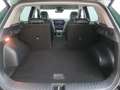 Kia Sportage 1.6 T-GDI 2WD ISG 48V DCT Spirit! Grün - thumbnail 8