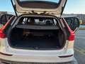 Volvo V60 Cross Country V60 Cross Country  D4 AWD BUSINESS GEATR Bianco - thumbnail 11