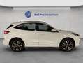 Ford Kuga 2.5 Duratec PHEV ST-LINE Blanc - thumbnail 8