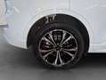 Ford Kuga 2.5 Duratec PHEV ST-LINE Blanc - thumbnail 26