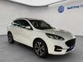 Ford Kuga 2.5 Duratec PHEV ST-LINE Blanc - thumbnail 9