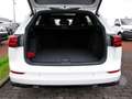 Volkswagen Golf Variant R-Line TDI 150 PS | Pano | Navi uvm Weiß - thumbnail 10