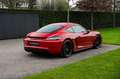 Porsche 718 CAYMAN GTS 4.0/PDK/GTS INTERIOR/CARBON/18-WAY/BOSE Rouge - thumbnail 7