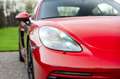 Porsche 718 CAYMAN GTS 4.0/PDK/GTS INTERIOR/CARBON/18-WAY/BOSE Rouge - thumbnail 13