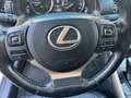 Lexus IS 300 300h Hybrid Edition 30 ACC OPENDAK LEER PRIMA AUTO Šedá - thumbnail 19