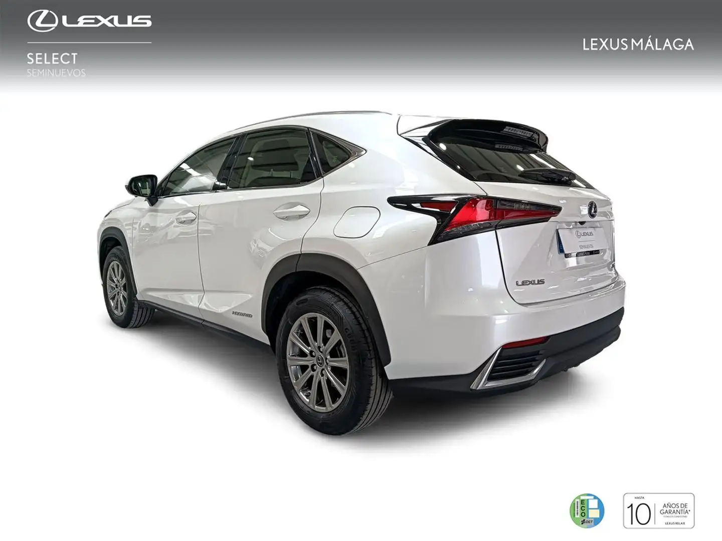 Lexus NX 300 300h Business Navigation 2WD Blanco - 2