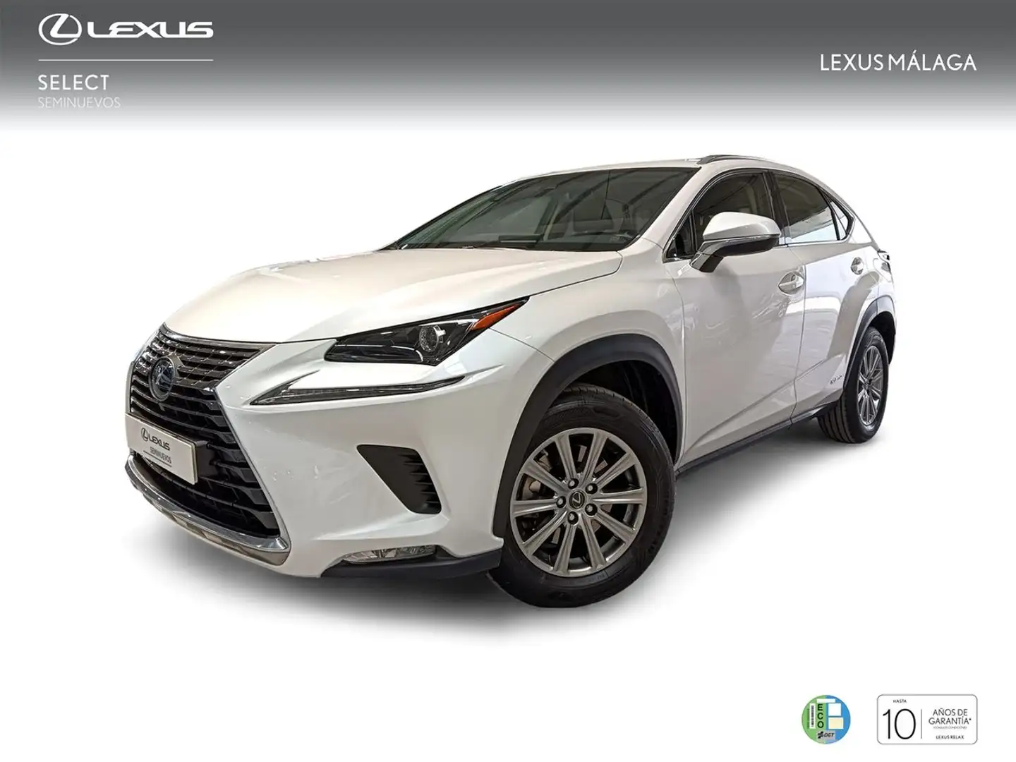 Lexus NX 300 300h Business Navigation 2WD Blanco - 1