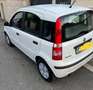 Fiat Panda Panda II 2003 1.3 mjt 16v Emotion Weiß - thumbnail 6