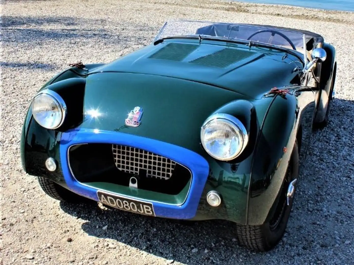 Triumph TR2 Long Door - 1954 Зелений - 2