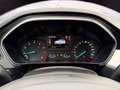 Ford Focus 1.0 Cool&Connect *PDC*ALU*Winterpaket Bianco - thumbnail 14