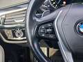BMW 530 d Sport Line Shadow|ACC|H&K|Ambiente|Kamera Blanc - thumbnail 13