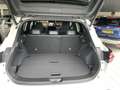 Nissan Qashqai 1.3 MHEV Tekna | Nieuwe Auto | 360 Camera | Naviga Wit - thumbnail 6
