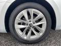 Skoda Octavia Combi Style TDI DSG|STANDHZ|KAMERA|KESSY Argento - thumbnail 7