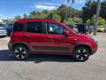 Fiat Panda Panda III 2021 Cross Panda 1.0 firefly hybrid Cro Rojo - thumbnail 8