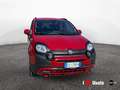 Fiat Panda Panda III 2021 Cross Panda 1.0 firefly hybrid Cro Rojo - thumbnail 2
