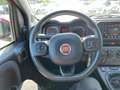 Fiat Panda Panda III 2021 Cross Panda 1.0 firefly hybrid Cro Rojo - thumbnail 19