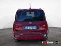 Fiat Panda Panda III 2021 Cross Panda 1.0 firefly hybrid Cro Rojo - thumbnail 5