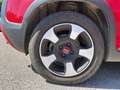 Fiat Panda Panda III 2021 Cross Panda 1.0 firefly hybrid Cro Rojo - thumbnail 22