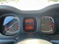 Fiat Panda Panda III 2021 Cross Panda 1.0 firefly hybrid Cro Rojo - thumbnail 15