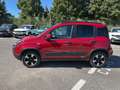 Fiat Panda Panda III 2021 Cross Panda 1.0 firefly hybrid Cro Rojo - thumbnail 7