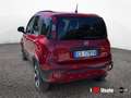 Fiat Panda Panda III 2021 Cross Panda 1.0 firefly hybrid Cro Rojo - thumbnail 4