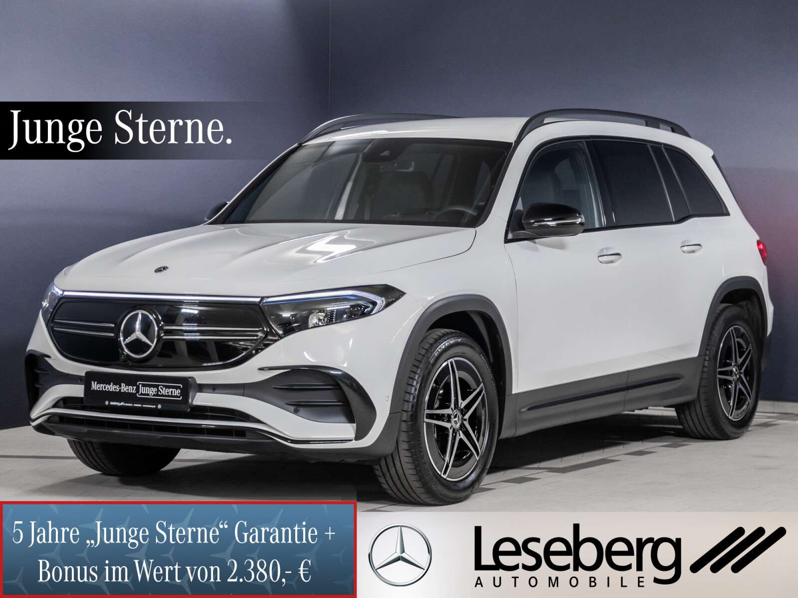 Brugt Mercedes Benz Eqb 300