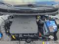 Kia Picanto 1.2 GT Line ISG GT-Line ++AT+KAMERA+NAVI+ Weiß - thumbnail 14