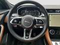 Jaguar F-Pace R-Dynamic S D200 AWD Aut. Vermittlungsverkauf Grau - thumbnail 11