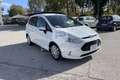 Ford B-Max B-Max 1.5 TDCi 75 CV Titanium Bianco - thumbnail 3