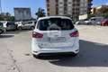 Ford B-Max B-Max 1.5 TDCi 75 CV Titanium Bianco - thumbnail 6