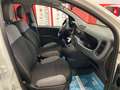 Fiat Panda Van 1.0 70cv Hybrid Euro 6D-TEMP Bianco - thumbnail 10