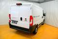 Fiat Ducato Ducato 30 L1H1 140 Weiß - thumbnail 3