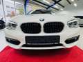 BMW 120 i Advantage -5-trg. -LED -AHK Weiß - thumbnail 12