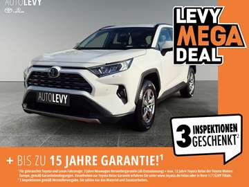 RAV4 2.5 Hybrid Business +Allwetter+LED+Kamera+