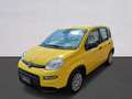 Fiat Panda Pandina III 2024 Pandina 1.0 firefly hybrid Pop s Giallo - thumbnail 1