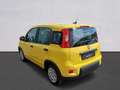Fiat Panda Pandina III 2024 Pandina 1.0 firefly hybrid Pop s Giallo - thumbnail 7