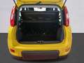 Fiat Panda Pandina III 2024 Pandina 1.0 firefly hybrid Pop s Giallo - thumbnail 9