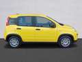 Fiat Panda Pandina III 2024 Pandina 1.0 firefly hybrid Pop s Giallo - thumbnail 4