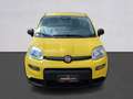 Fiat Panda Pandina III 2024 Pandina 1.0 firefly hybrid Pop s Giallo - thumbnail 2