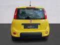 Fiat Panda Pandina III 2024 Pandina 1.0 firefly hybrid Pop s Giallo - thumbnail 6