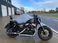 Harley-Davidson Sportster Forty Eight Bronce - thumbnail 2