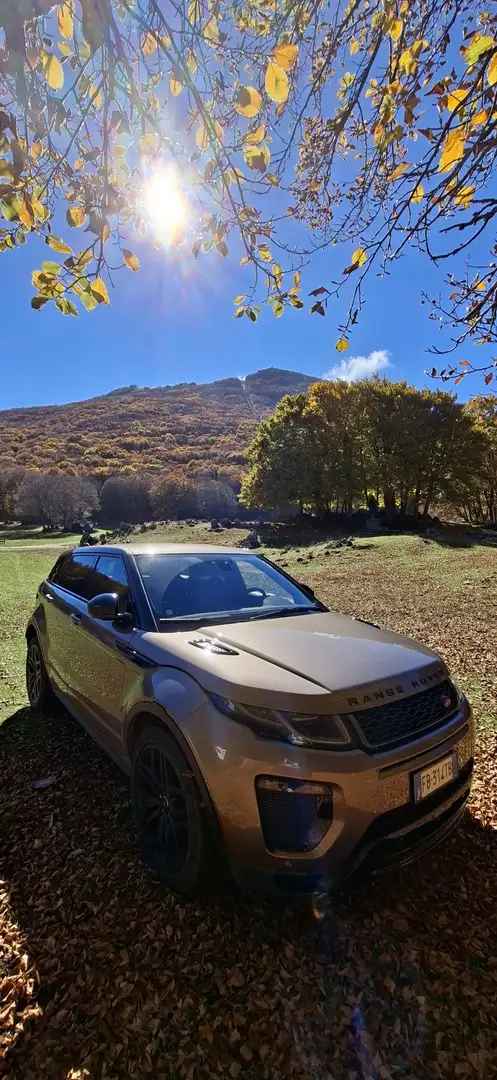 Land Rover Range Rover Evoque 5p 2.0 td4 HSE Dynamic 180cv auto Limited Edition - 2