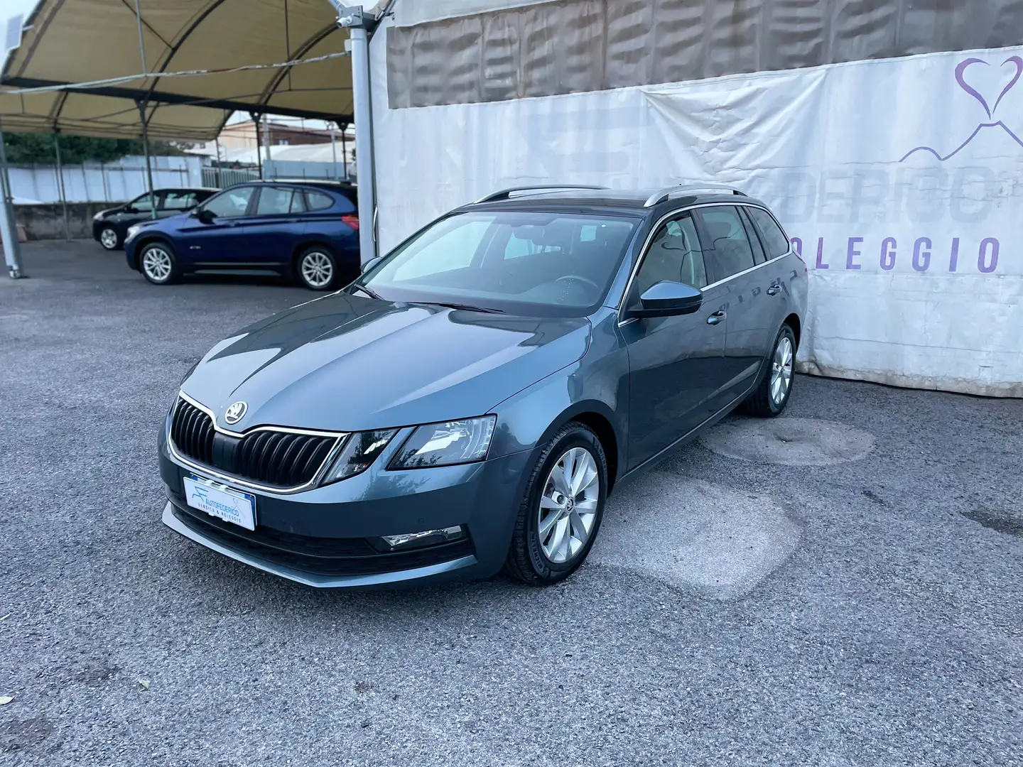 Skoda Octavia Octavia Wagon 1.6 tdi Executive 115cv dsg Grigio - 1