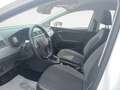 SEAT Ibiza 5 Porte 1.0 MPI Style Weiß - thumbnail 13