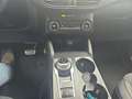 Ford Kuga 2.5 Duratec FHEV 4x4 ST-LINE X Blanco - thumbnail 13