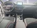 Ford Kuga 2.5 Duratec FHEV 4x4 ST-LINE X Blanco - thumbnail 10