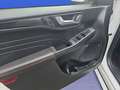 Ford Kuga 2.5 Duratec FHEV 4x4 ST-LINE X Blanco - thumbnail 18