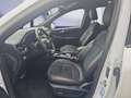 Ford Kuga 2.5 Duratec FHEV 4x4 ST-LINE X Blanco - thumbnail 8